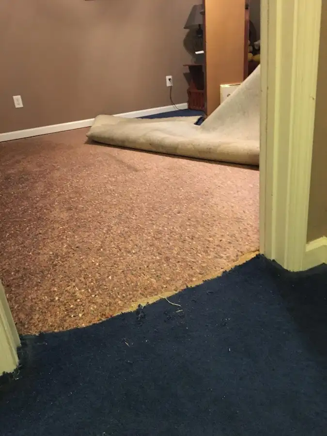 Carpet pad removal revealing water damage during Drying & Dehumidification in Caledonia