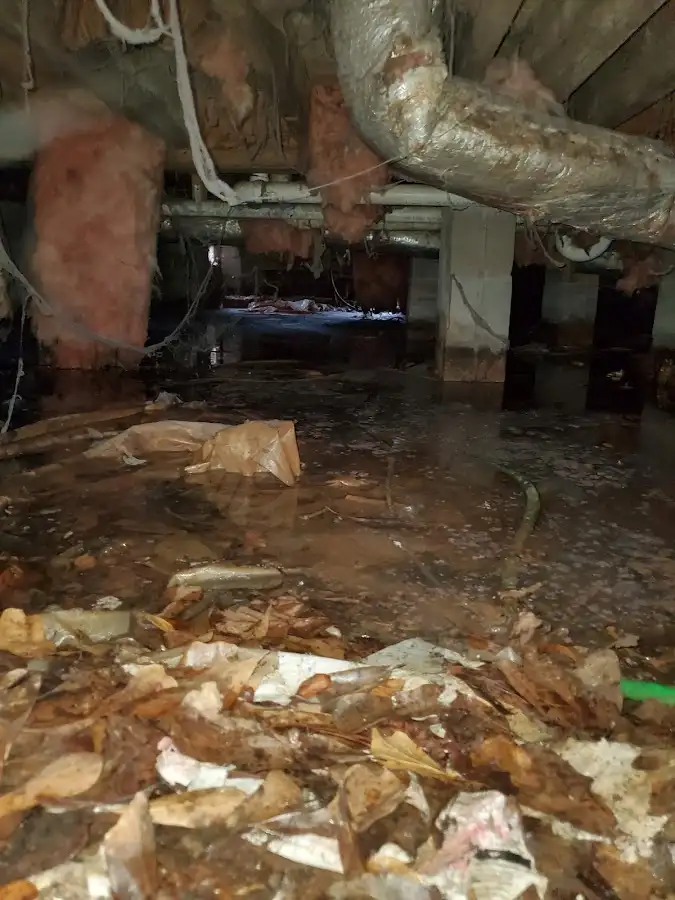Crawl space flood assessment for Leak Detection & Repair in Caledonia