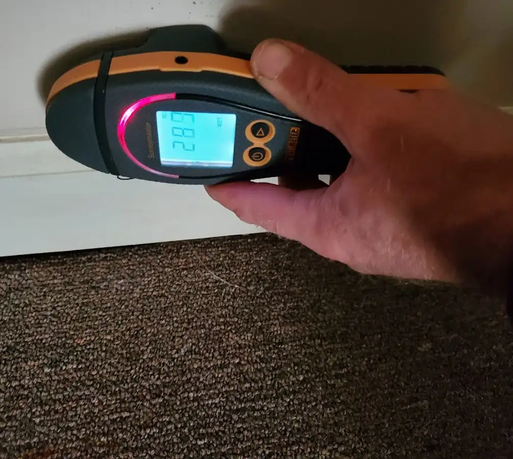 Moisture detection at baseboard during Sewage Cleanup & Sanitation in Caledonia